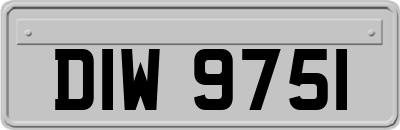 DIW9751