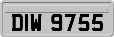 DIW9755
