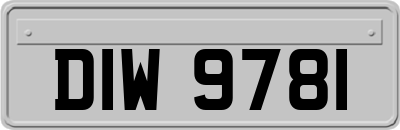 DIW9781