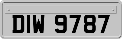 DIW9787
