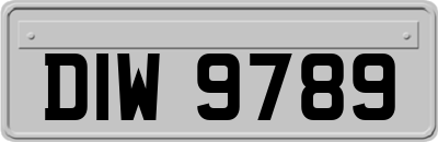 DIW9789