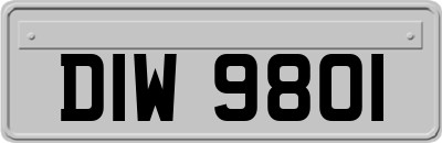 DIW9801