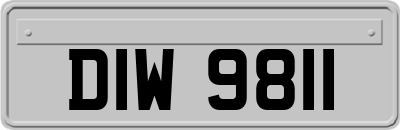 DIW9811