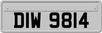 DIW9814
