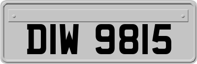 DIW9815