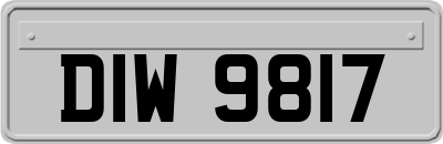 DIW9817