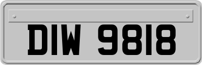 DIW9818