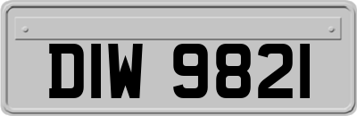 DIW9821
