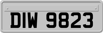 DIW9823