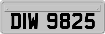 DIW9825