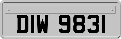 DIW9831