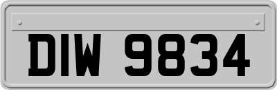 DIW9834