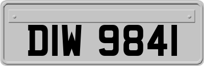 DIW9841