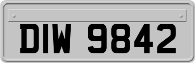 DIW9842