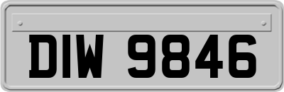 DIW9846