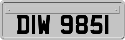 DIW9851