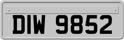 DIW9852