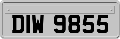 DIW9855