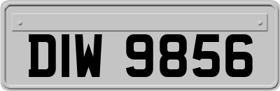 DIW9856