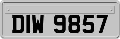 DIW9857