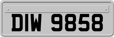 DIW9858