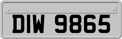 DIW9865