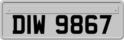 DIW9867