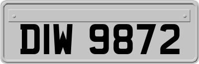 DIW9872