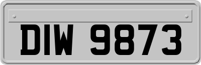 DIW9873