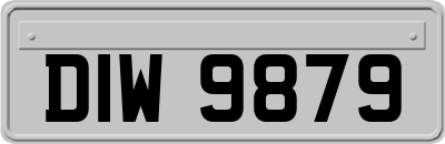 DIW9879