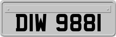 DIW9881