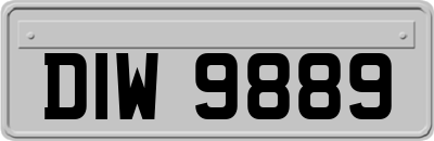 DIW9889
