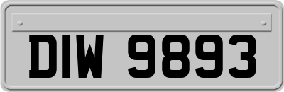 DIW9893