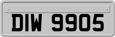 DIW9905