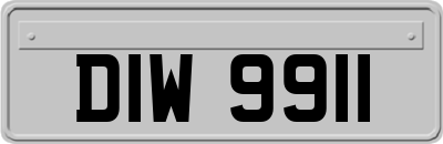 DIW9911