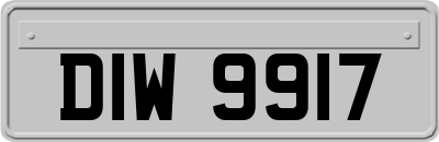 DIW9917