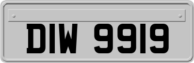 DIW9919