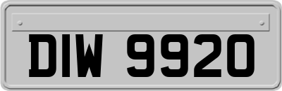 DIW9920