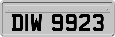 DIW9923