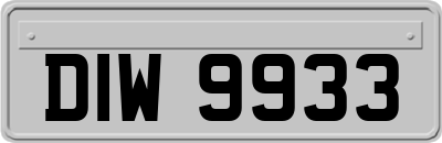 DIW9933