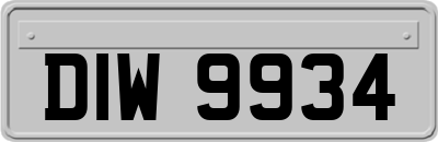 DIW9934