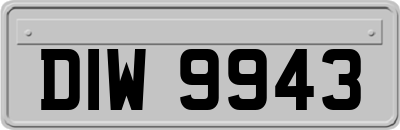 DIW9943