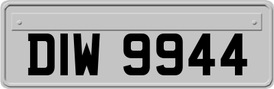 DIW9944