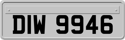 DIW9946
