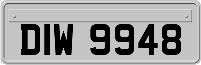 DIW9948
