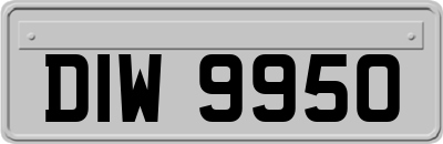 DIW9950