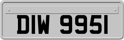 DIW9951