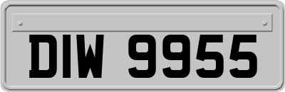 DIW9955