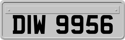 DIW9956