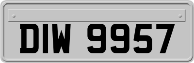 DIW9957